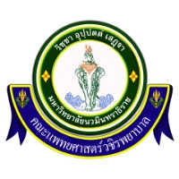 บริการเป็นเพื่อนหาหมอรพ.วชิรพยาบาล เชื่อใจมั่นใจให้ชิงชิงดูแล